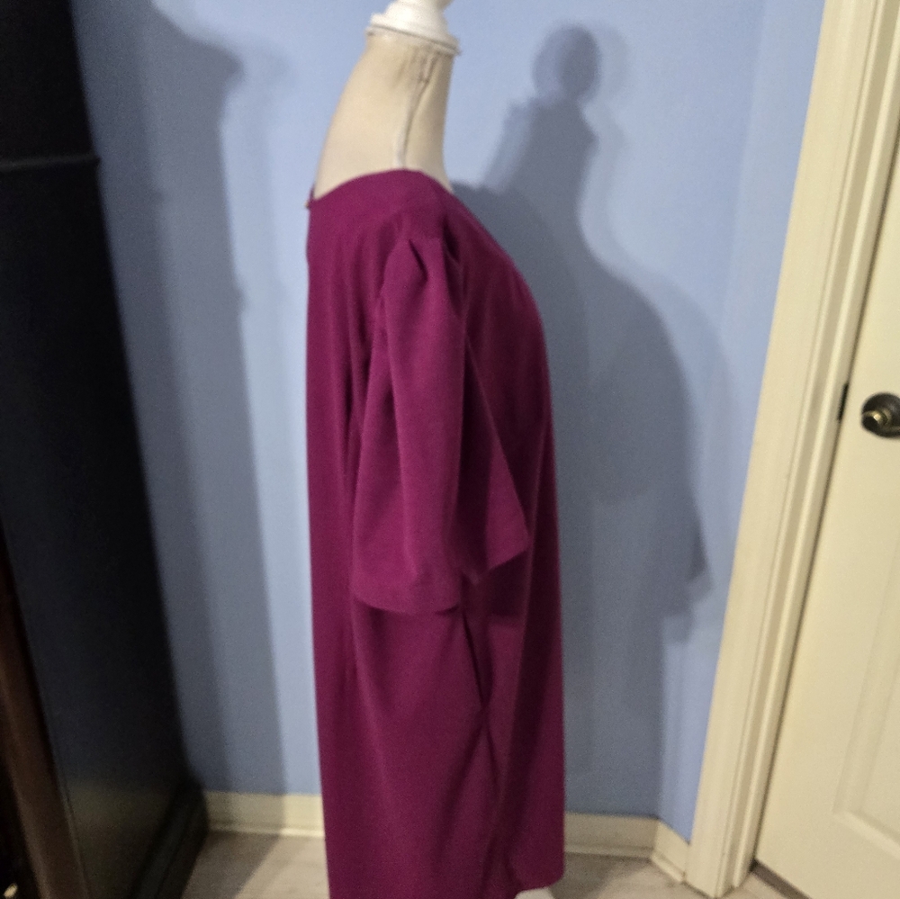 Standards & Practices Size 3x Dress - Picture 3 of 7
